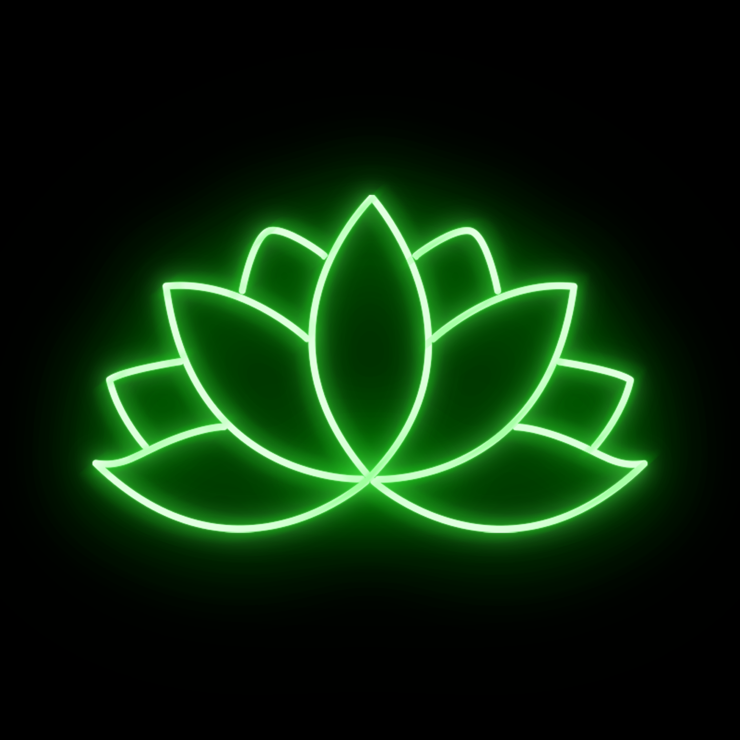 Lotus 1