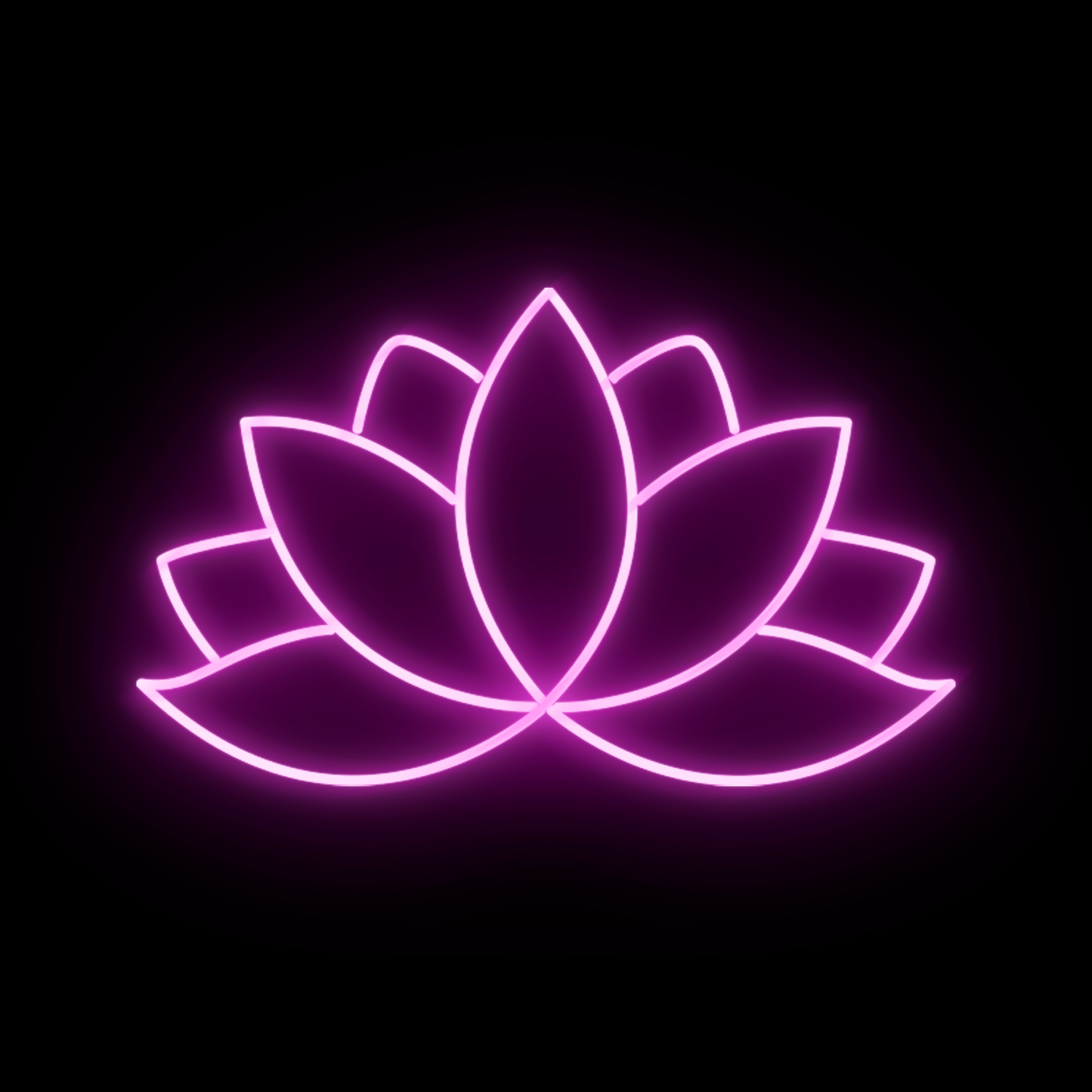 Lotus 1