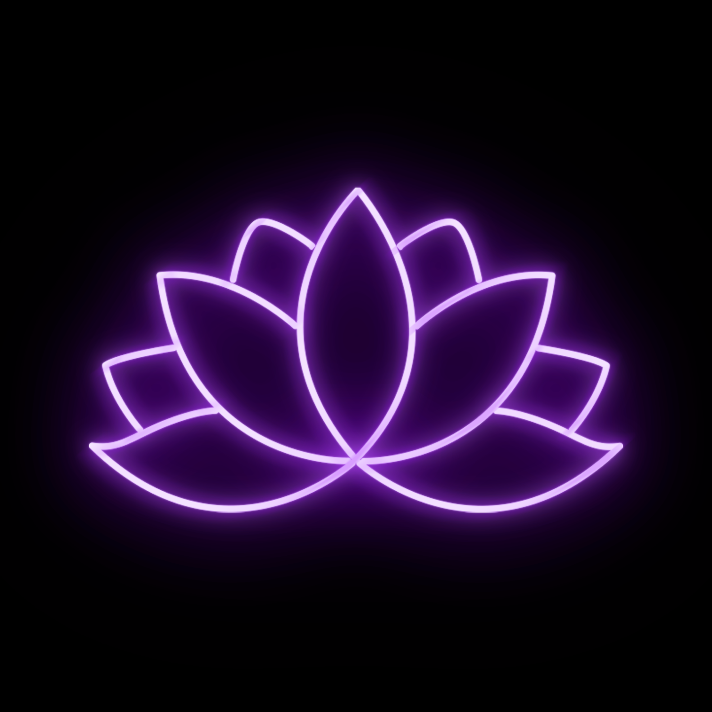 Lotus 1