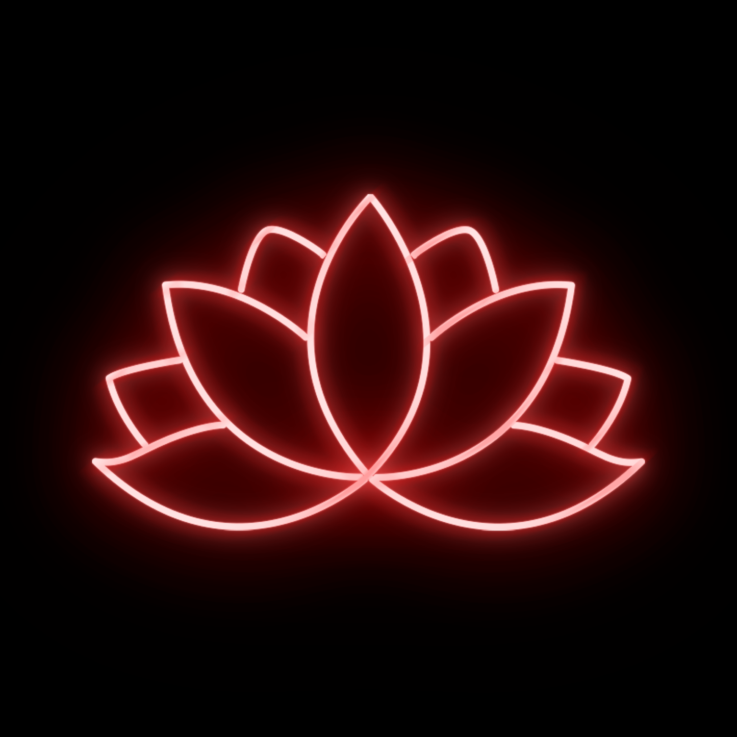 Lotus 1