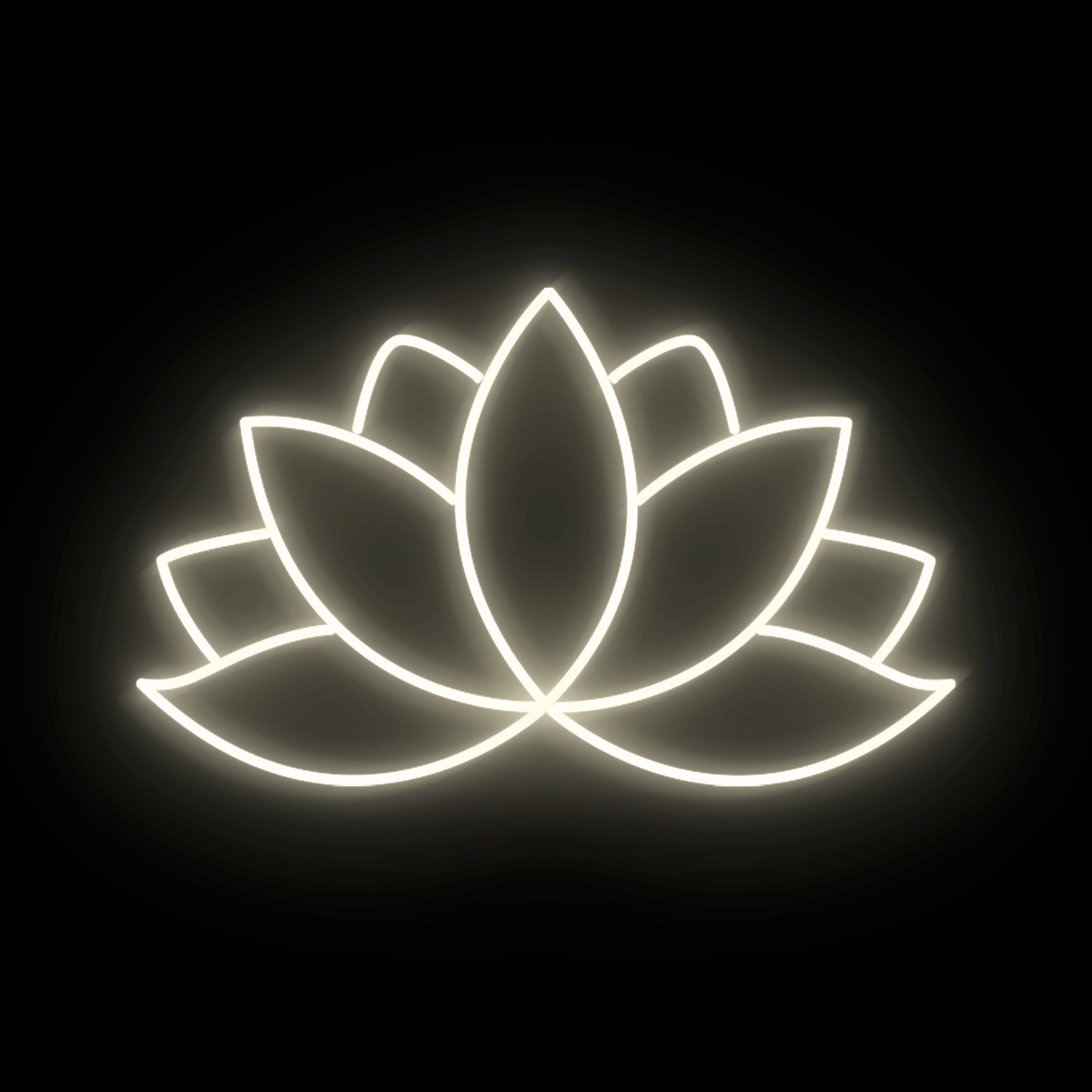 Lotus 1