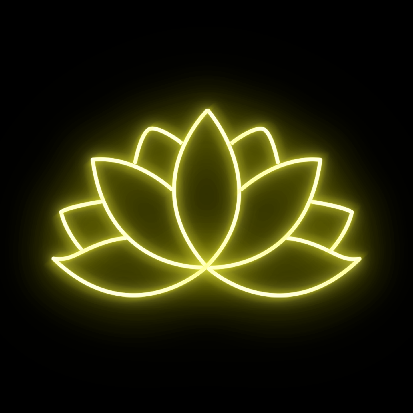 Lotus 1