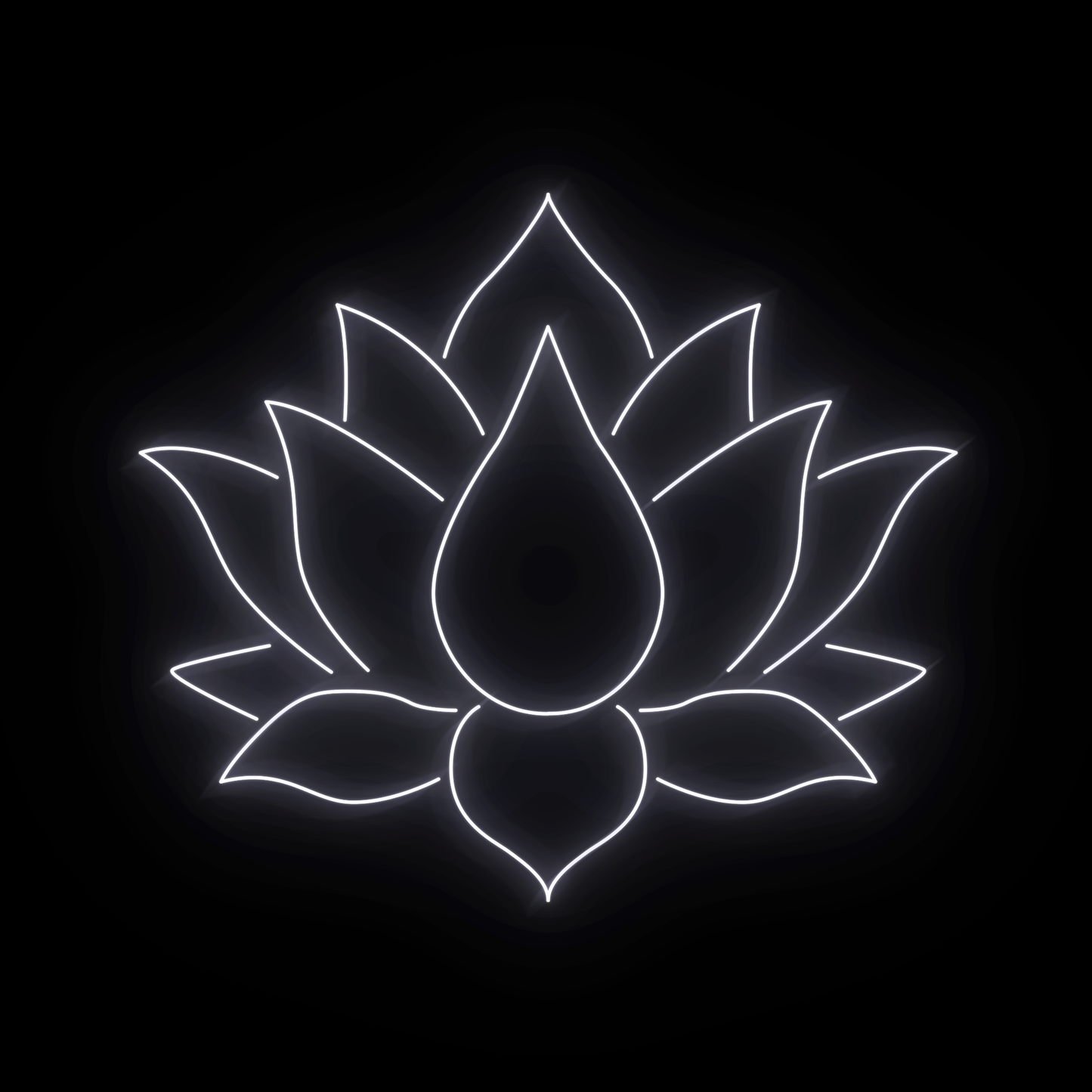 Lotus 2