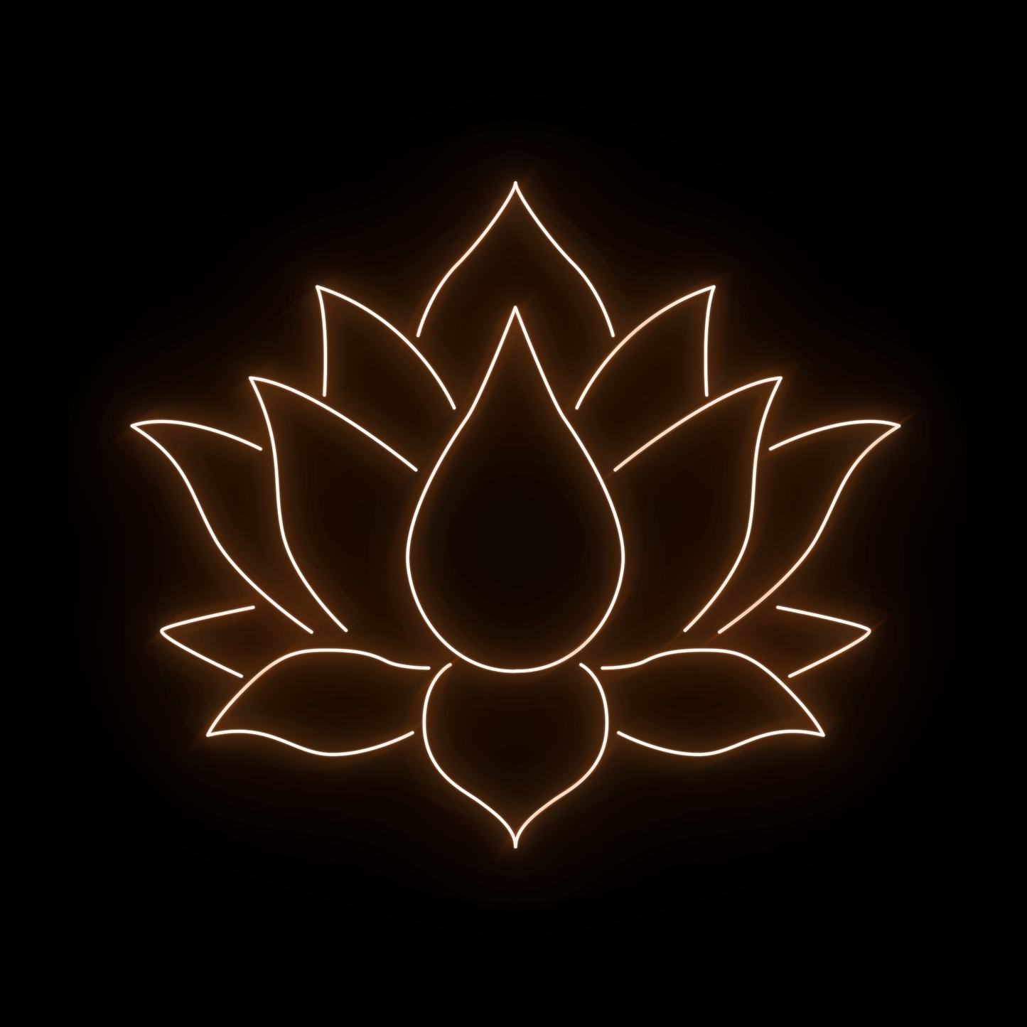 Lotus 2