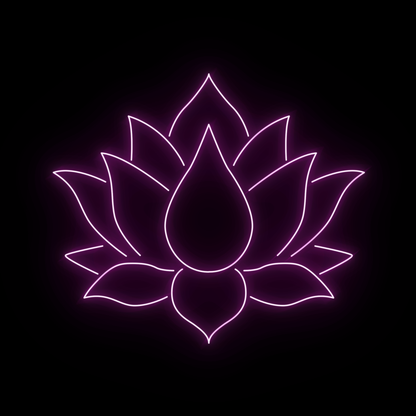 Lotus 2