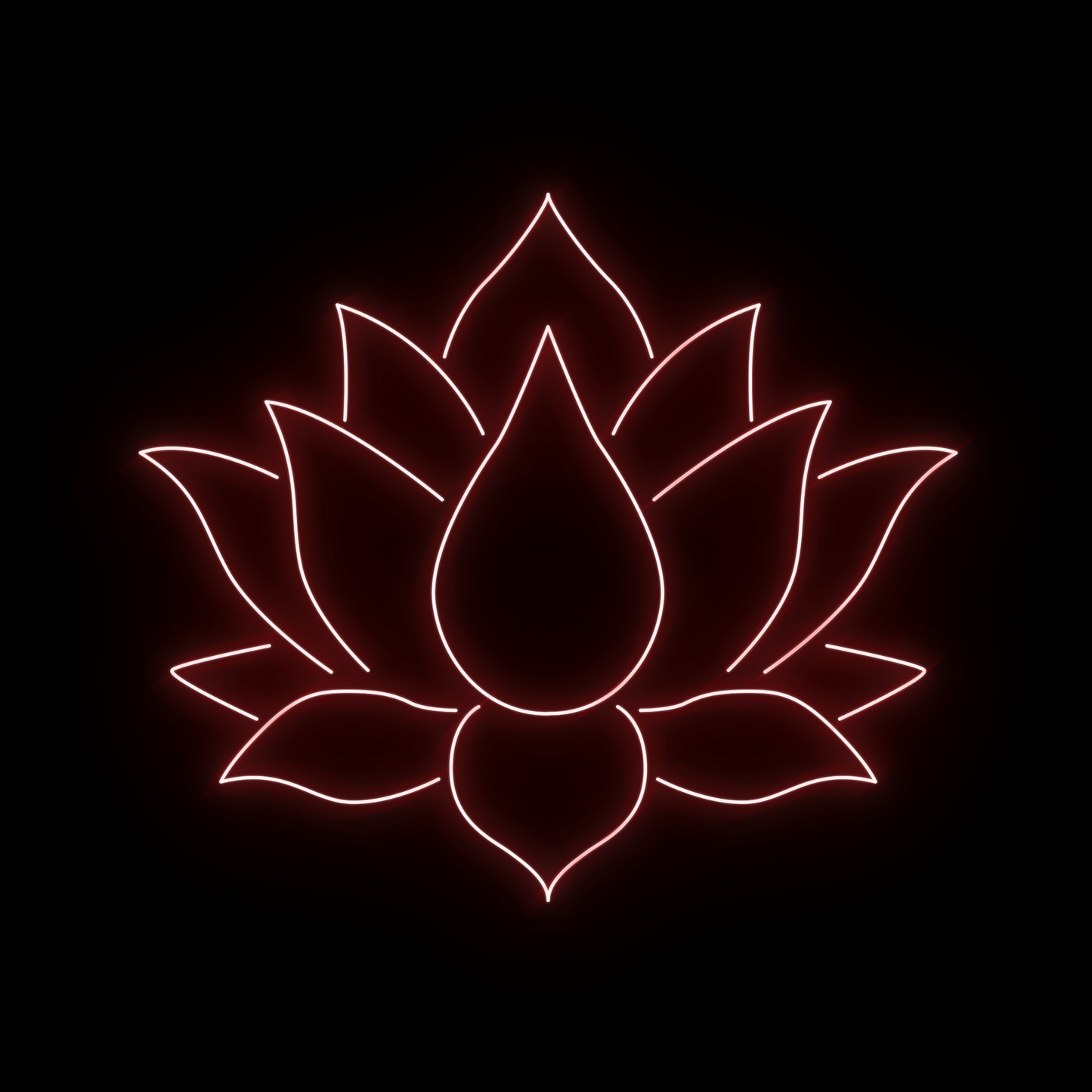 Lotus 2